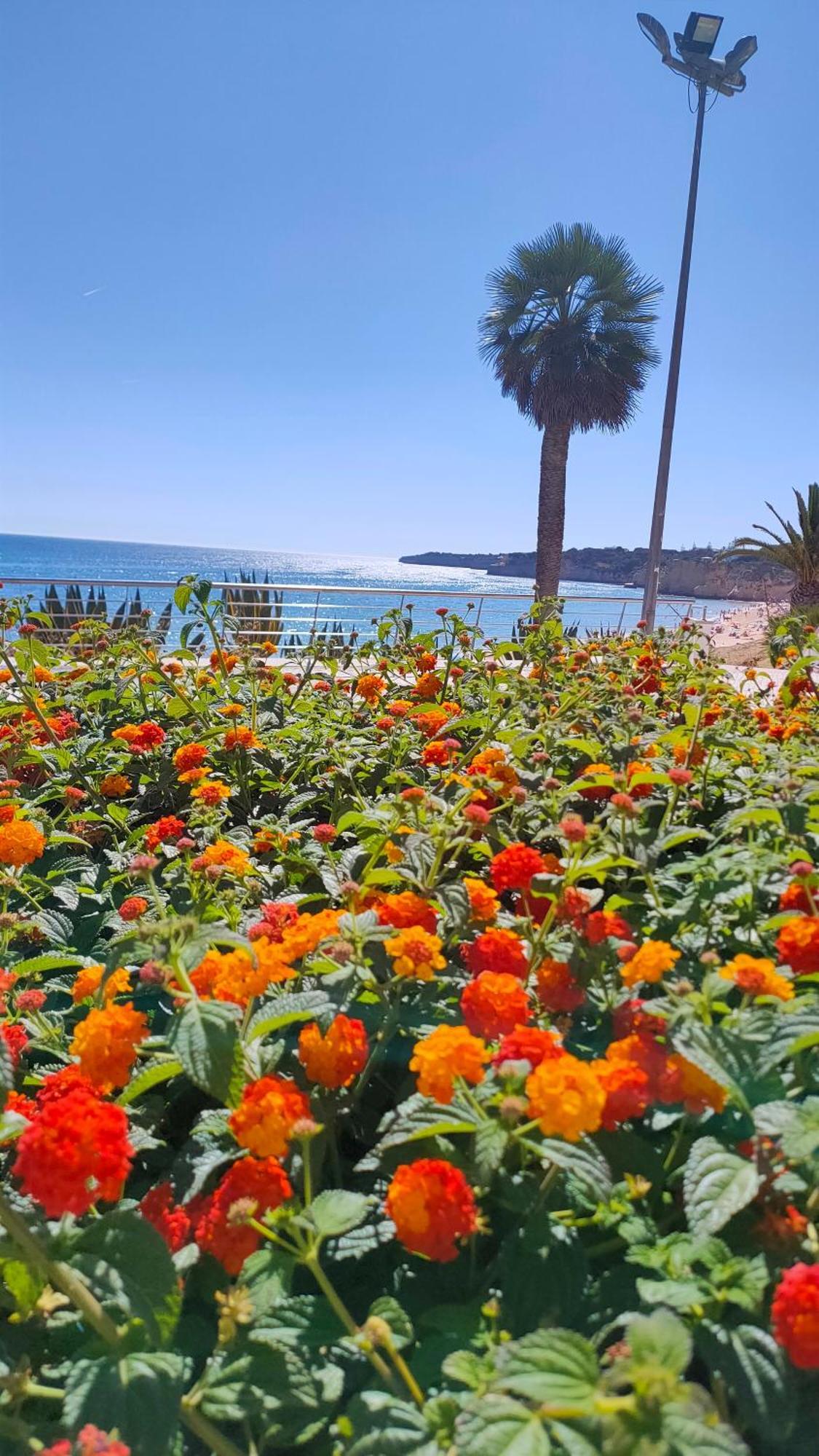 Cantinho do Sol - Sea view, Quiet, Cozy&Relaxing Flat Armacao de Pera Exterior foto